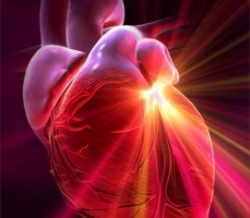 «Βιολογικός» βηματοδότης ρυθμίζει τον καρδιακό παλμό