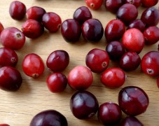 cranberries krana xymos