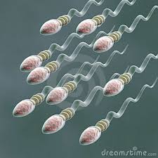 sperma allergia gynaikes