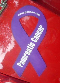 pancreas karkinos test 4