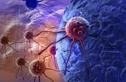 cancer-cells 5