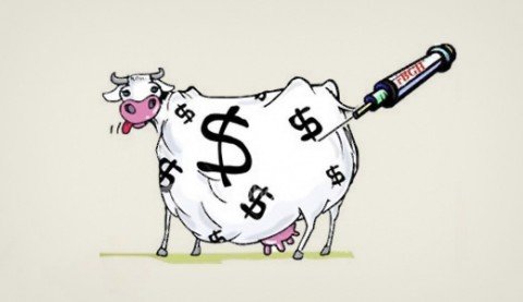 hormone-inje555cted-money-cow