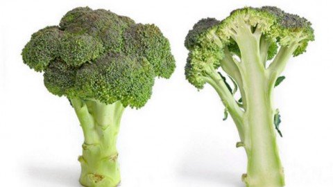Functional-broccoli-5555555may-lower-cholesterol_strict_xxl