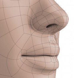 Isolated Polygonal lips and nose