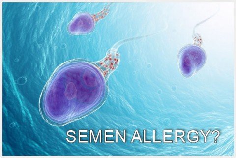 blog-sem555en-allergy