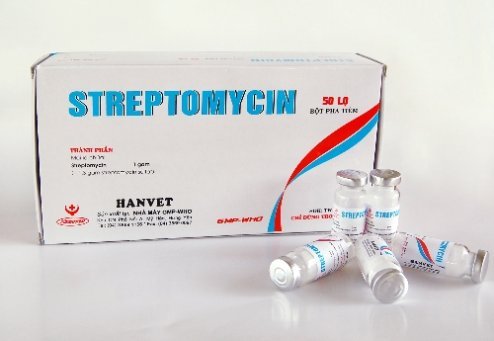 sptreptomycin55