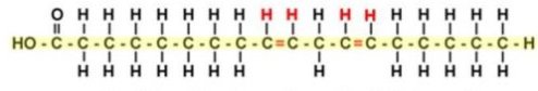 cis linoleic 6