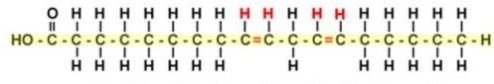 cis linoleic 6