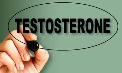 testosteoni