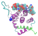BAX_protein