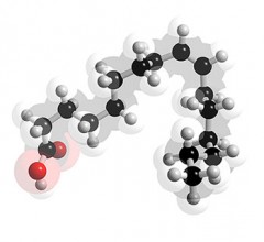 Palmitoleic-acid