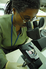 microscope