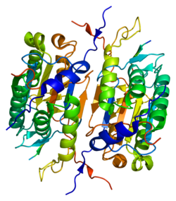 Protein_CASP2
