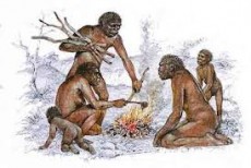 homo-erectus-fotia