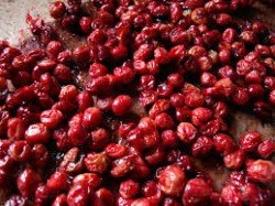 cranberries