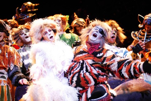 cats