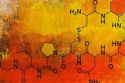 ocytokinh