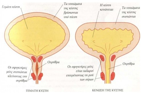 akrateia epeixh