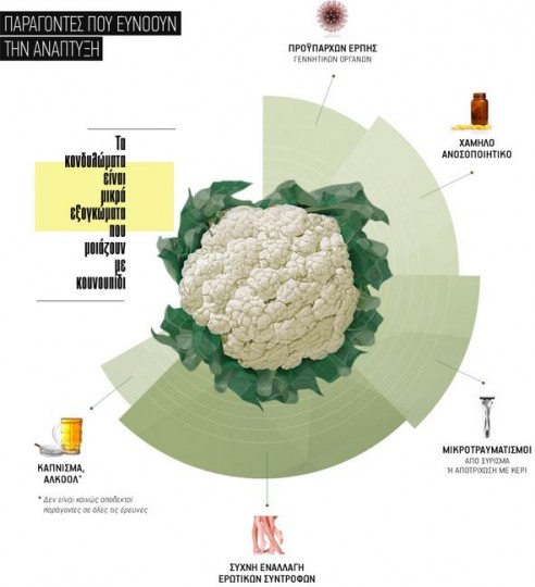 infografics_kondylomata