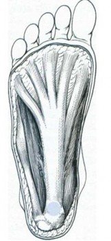 pain fterna