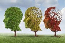 alzheimer 2014 farmaka apotyxia