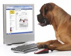 facebook for dogs