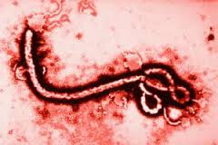 ebola ios molynsh 4