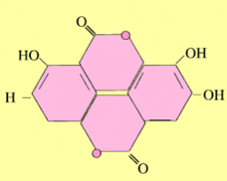 ellagiko oxy