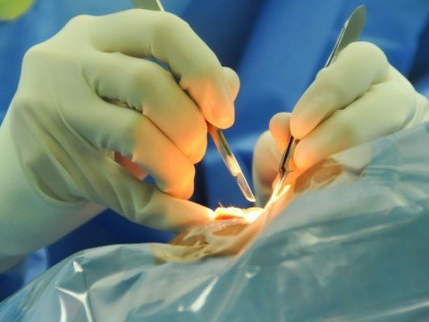 00d9b1e39f055565ad2a9a6eaa3b8_XL