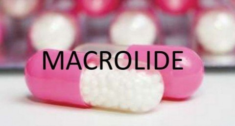 macrotd55lides