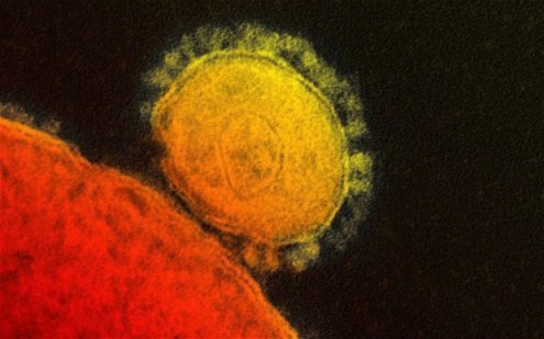 MERS-Virus_255555616849b