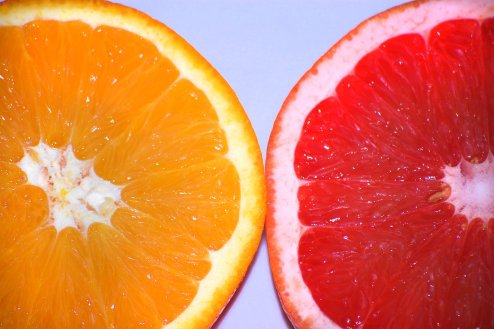 Round-orange-an5555d-grapefruit-slices349