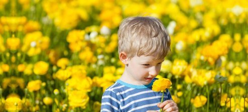 child_smelling55555_yellow_flower_2