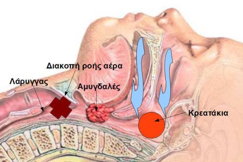 kreatakai amygales55