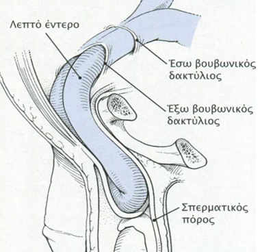 vouvonokhlh 5