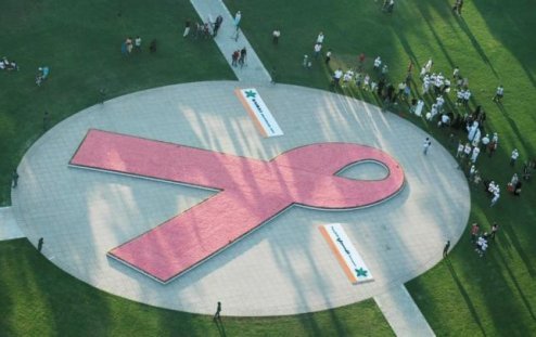 The world's largest awareness ribbon made of flowers is seen from above during the UAE leg of the Avon Walk around the world for Breast Cancer Awareness 