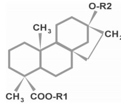 steviol 51