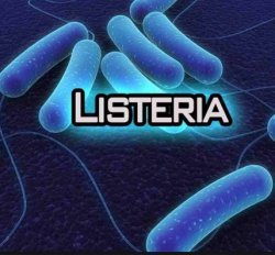 listeria 6