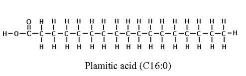 palmitic acid
