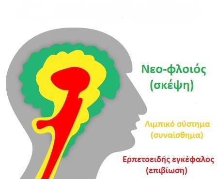 3-triune-brain66