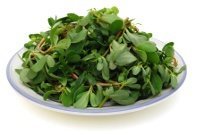 plate-of-purslane6