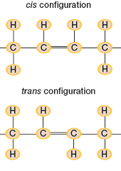 trans-6