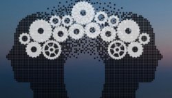 brain 6 6