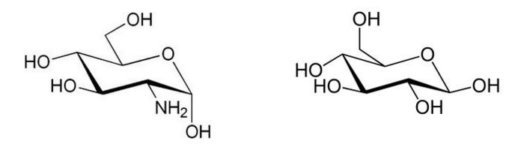 glykozaminh