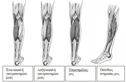 botox-diagramma